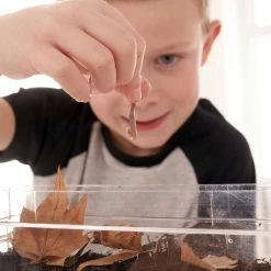 Coupon ???? My Living World Worm Kit ???? -Hobbycraft Shop 583064 1000 4 my living world worm kit